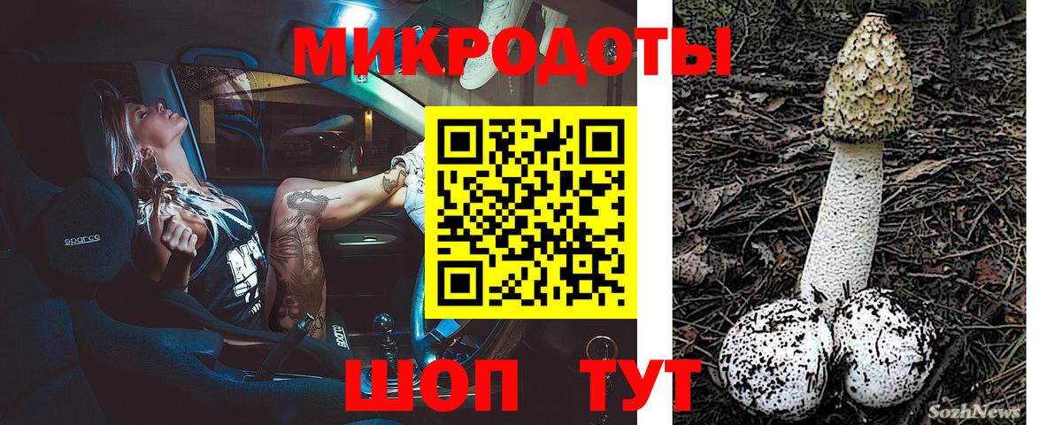 Галлюциногенные грибы Psilocybine cubensis Ухта